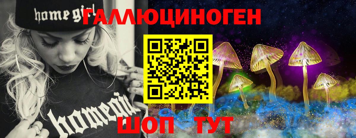 Галлюциногенные грибы прущие грибы Владимир