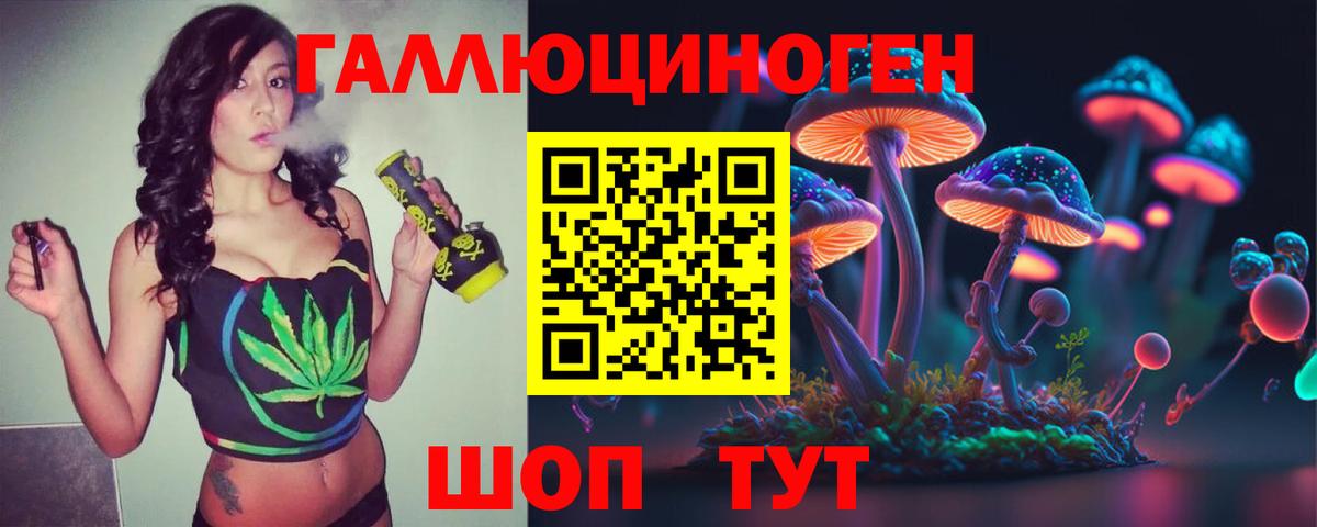 продажа наркотиков  Галлюциногенные грибы GOLDEN TEACHER  Вход с VPN  Владимир  Галлюциногенные грибы Psilocybine cubensis 